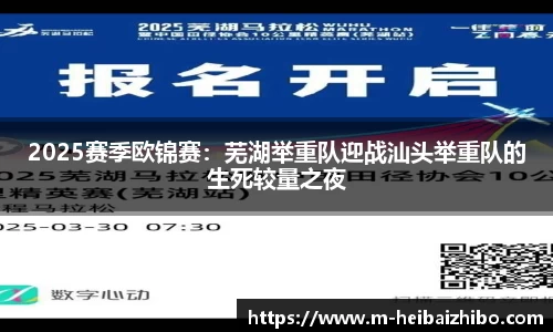 2025赛季欧锦赛：芜湖举重队迎战汕头举重队的生死较量之夜